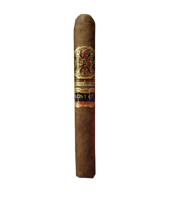 Lost City Double Robusto 