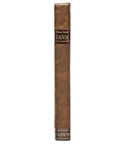 Java Robusto Maduro