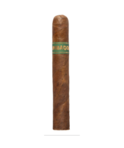 Umbagog Bronzeback